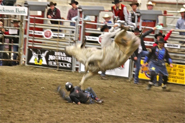 rodeo_0189.jpg