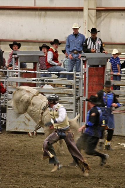 rodeo_0214.jpg